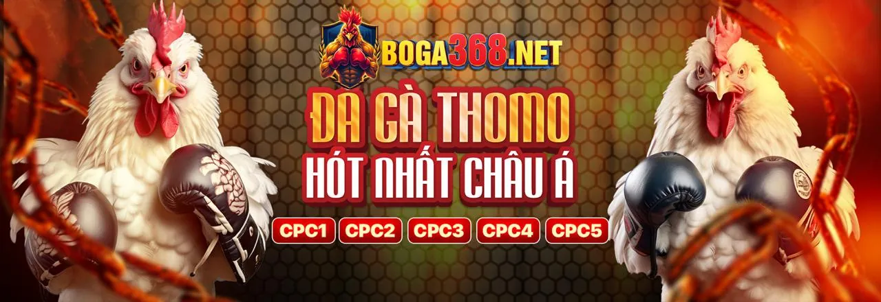 Đá gà trực tuyến tại RW88 với link mới nhất 2026, mang đến trải nghiệm chân thực và kịch tính.