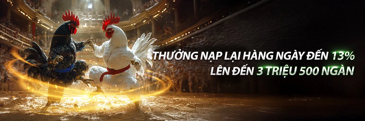 Khuyến Mãi rw88 link mới 2026 - Ưu Đãi Cá Cược Hấp Dẫn Nhất